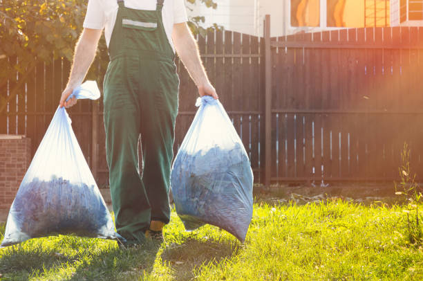 Best Professional Junk Removal  in South Tucson, AZ